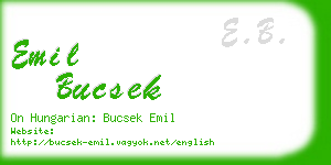 emil bucsek business card